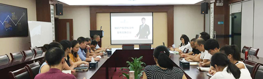 雷諾表召開知識產(chǎn)權(quán)貫標文件發(fā)布實施會議